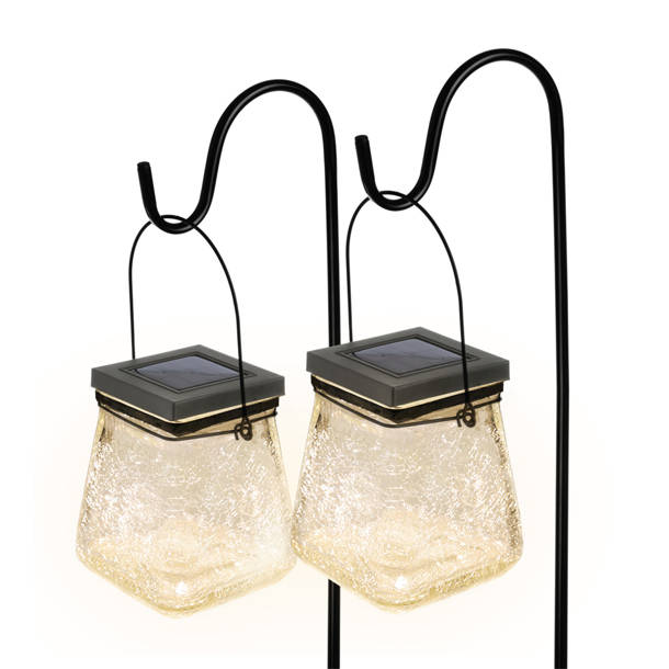 Arlmont & Co. Cortnie 48'' Outdoor 15 Bulb Standard String Light (End